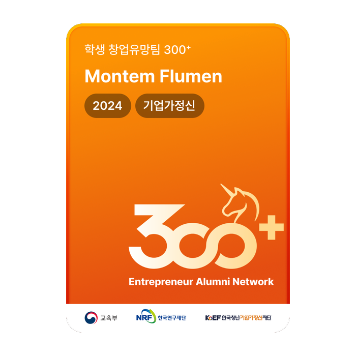 Korea Entreprenuership